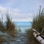Prora - Komfortables Dünen Apartment mit Strandzugang, Gemeinschaftssauna und Waschmaschine - Hühnergott Apartment
